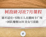 树敌研习社7月课程：破不适宜+零粉万人直播间卡广场+团队赚佣16W美女号套路-第一资源库