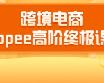 2020跨境电商蓝海新机会-SHOPEE大卖特训营：高阶终极课程（16节课）-第一资源库