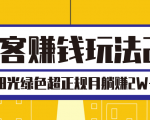 淘客赚钱玩法2.0,阳光绿色超正规项目,月躺赚2W+【视频课程】-第一资源库