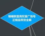 臻曦联盟抖音高权重广场号无人直播正规品带货全解-第一资源库