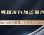 垂直起号精准自然流量连爆玩法,精准引流暴力变现月入10000+-第一资源库