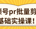 视频号PR批量剪辑0基础实操课，PR批量处理伪原创一分钟一个视频【共2节】-第一资源库