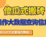 搬砖操作大数据查询信用项目赚钱教程，祝你快速月入6万-第一资源库