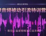 黄岛主·FM音频引流特训营2.0:独家引流模式,单账号50W+播放量,轻松变现-第一资源库