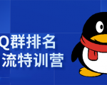 《QQ群排名引流特训营》一个群被动收益1000，是如何做到的（5节视频课）-第一资源库
