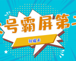 公众号霸屏SEO特训营第二期，普通人如何通过拦截单日涨粉1000人 快速赚钱-第一资源库