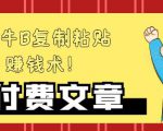 —牛B复制粘贴赚钱术！牛逼持久收入极品闷声发财项目，首发揭秘独此一家！-第一资源库