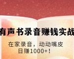 有声书录音赚钱实战：在家录音，动动嘴皮，日赚1000+！-第一资源库