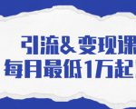 引流&变现课：分享一整套流量方法以及各个渠道收入，每月最低1万起！-第一资源库