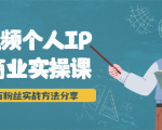 短视频个人IP商业实操课，百万粉丝实战方法分享，小白也能实现流量变现-第一资源库