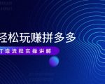 带你轻松玩赚拼多多：花的少 赚的多 爆款更简单 爆款打造流程实操讲解-第一资源库