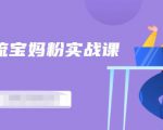 百度贴吧引流宝妈粉实战课，小白也可以日引100+精准粉-第一资源库