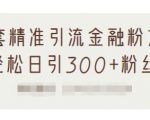 1套精准引流金融粉方法，轻松日引300+粉丝-第一资源库