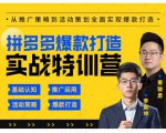 玺承云·拼多多爆款打造实战特训营,一套从入门到高手课程,让你快速拿捏拼多多-第一资源库
