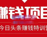 懒人领域·今日头条项目玩法，头条中视频项目，单号收益在50—500可批量-第一资源库