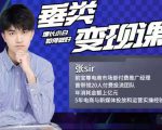 张sir·垂类变现课，抖音带货新手才看粉丝量，高手都看变现效率-第一资源库