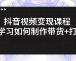 抖音短视频变现课程：带你学习如何制作带货+打造IP【41节】-第一资源库
