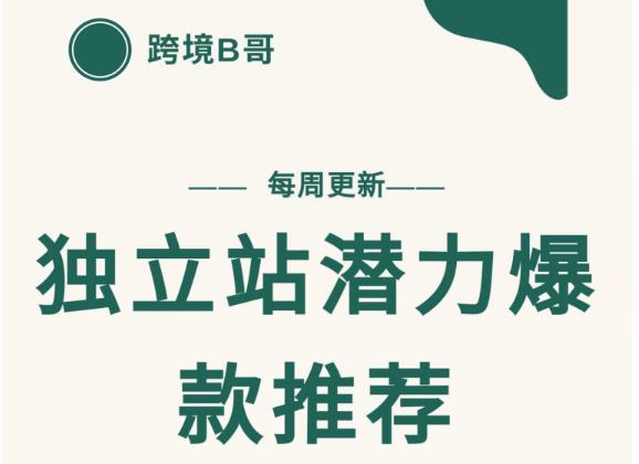 【跨境B哥】独立站潜力爆款选品推荐,测款出单率高达百分之80-第一资源库