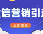 微信营销策划引流系列课程，每天引流100精准粉-第一资源库