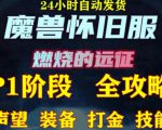 最新美服-怀旧服魔兽搬砖攻略，练级声望装备打金副本技能赚钱攻略-第一资源库