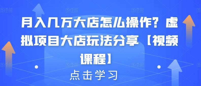 月入几万大店怎么操作？虚拟项目大店玩法分享【视频课程】-第一资源库
