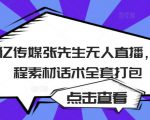聚亿传媒张先生无人直播，教程素材话术全套打包-第一资源库