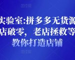 野路子实验室:拼多多无货源店群项目，新店破零，老店拯救等全方位教你打造店铺-第一资源库