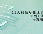11天视频号变现训练营，从0到1打造变现赚钱系统（价值398元）-第一资源库