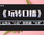 月营业额700万+大佬教您《玩转口播》让你从“小白”到剪辑“大师”-第一资源库