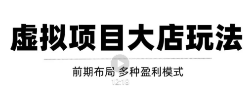 虚拟项目月入几万大店玩法分享,多店操作利润倍增(快速起店盈利)-第一资源库