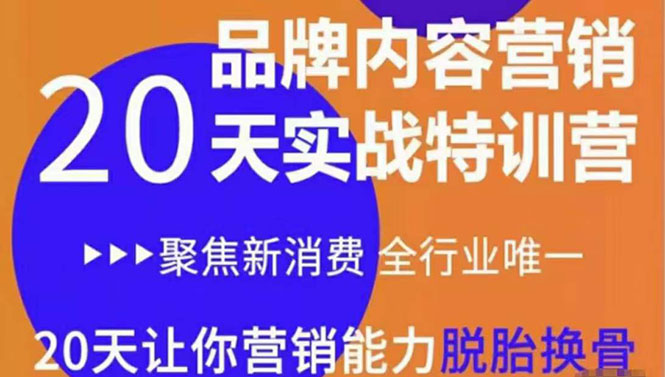 《内容营销实操特训营》20天让你营销能力脱胎换骨(价值3999)-第一资源库