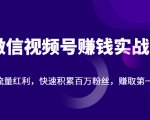 微信视频号赚钱实战：抓住流量红利，快速积累百万粉丝，赚取你的第一桶金-第一资源库