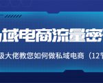 私域电商流量密码：千万级大佬教您如何做私域电商（12节课）-第一资源库
