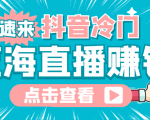 最新抖音冷门简单的蓝海直播赚钱玩法，流量大知道的人少，可做到全无人直播-第一资源库