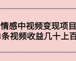 副业孵化营第5期：抖音情感中视频变现项目孵化 单条视频收益几十上百-第一资源库