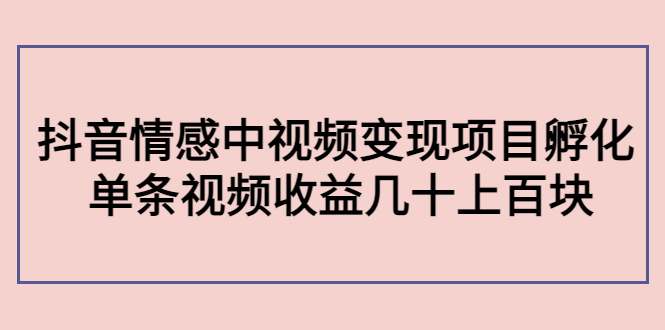 副业孵化营第5期:抖音情感中视频变现项目孵化 单条视频收益几十上百-第一资源库
