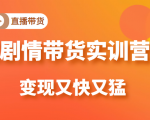 《剧情带货实训营》目前最好的直播带货方式，变起现来是又快又猛（价值980元）-第一资源库