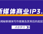新媒体商业IP3.0，全面揭秘新媒体写作套路及其背后的底层逻辑（价值1299元）-第一资源库