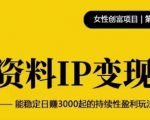 资料IP变现，能稳定日赚3000起的持续性盈利玩法-第一资源库