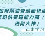 短视频油管动画快速制作涨粉快变现能力高（0基础进阶大神）-第一资源库