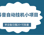 抖音自动挂机小项目，单设备日撸20+，可批量，号越多收益越大-第一资源库