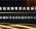 抖音短视频带货内容创作班,解密爆款带货短视频的创作公式-第一资源库