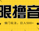 抖音直播无限撸音浪，简单可复制，偏门玩法，日入500+【视频教程】-第一资源库