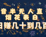抖音半无人直播烟花表白，日赚几十到几百（教程+视频模板素材）-第一资源库