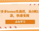 跨境拼多多temu实战营,从0到1打造爆款,快速变现-第一资源库