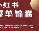 小红书爆单锦囊，自带种草属性+高质量女性用户，为你的企业开辟一条新的掘金路径-第一资源库