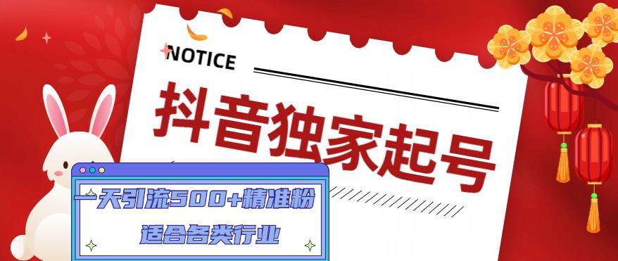 抖音独家起号,一天引流500+精准粉,适合各类行业(9节视频课)-第一资源库