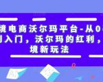跨境电商沃尔玛平台-从0基础到入门，沃尔玛的红利，跨境新玩法-第一资源库