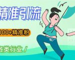 soul精准引流系列课程，一天引流100+精准粉，适合各类行业-第一资源库