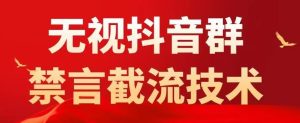 外面卖1500抖音粉丝群无视禁言截流技术，抖音黑科技，直接引流，0封号-第一资源库